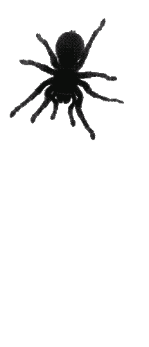 33fd094fd495745cf38c4fe89a92a1e8