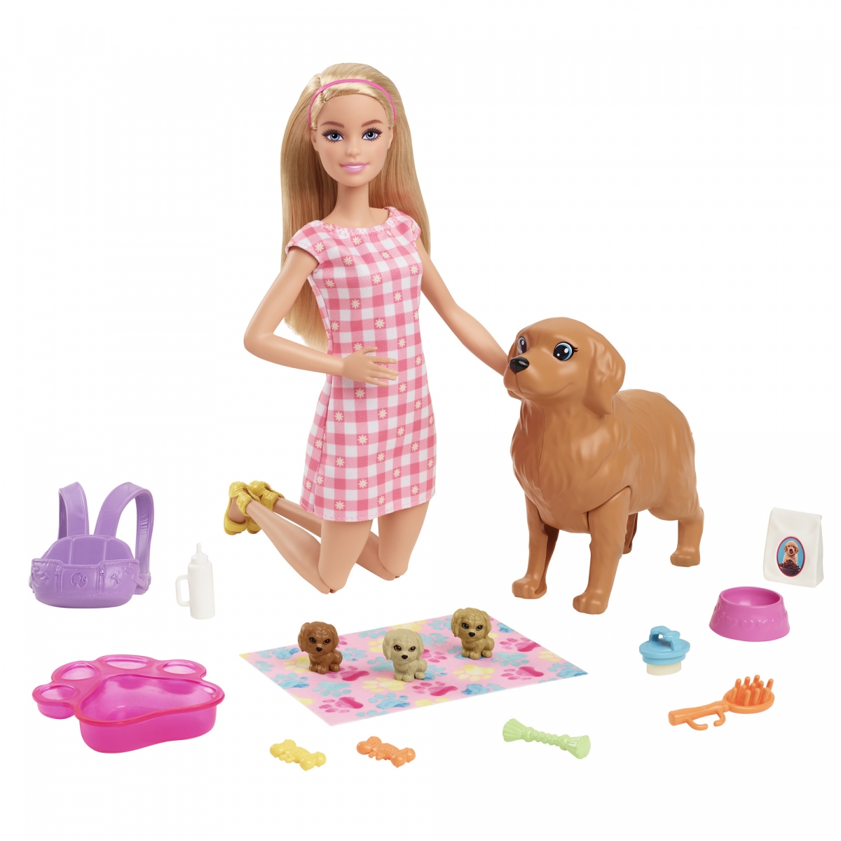 Barbie® kutsubeebide komplekt